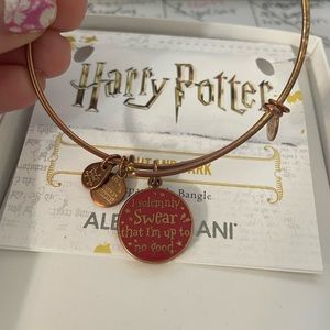 Harry Potter Alex and Ani